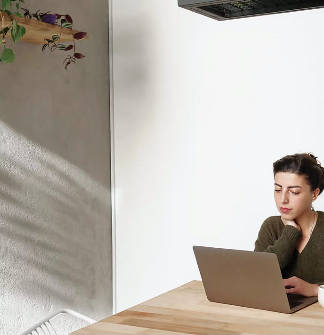 A person with dark hair sits at a wooden table in a bright room, working on a laptop. Sunlight filters in, casting shadows on the wall. A small plant hangs on the left side of the wall, adding a touch of greenery to the minimalist space.