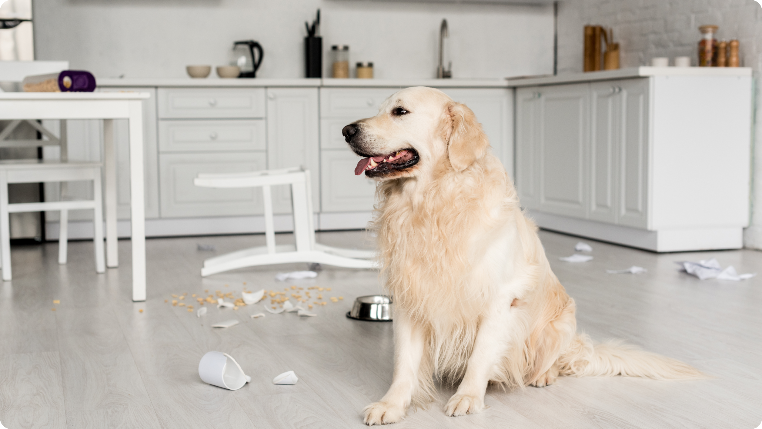 Golden retriever sitting on a kitchen floor with spilled cereal, a toppled chair, scattered papers, and a fallen mug around it. The kitchen is white with modern cabinets and appliances in the background.