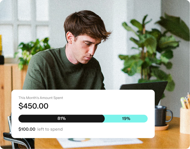 A young man working on a laptop at a desk. An overlay shows his monthly spending: $450 spent, 81% of the budget used, and $100 left to spend. There are plants and office items in the background.